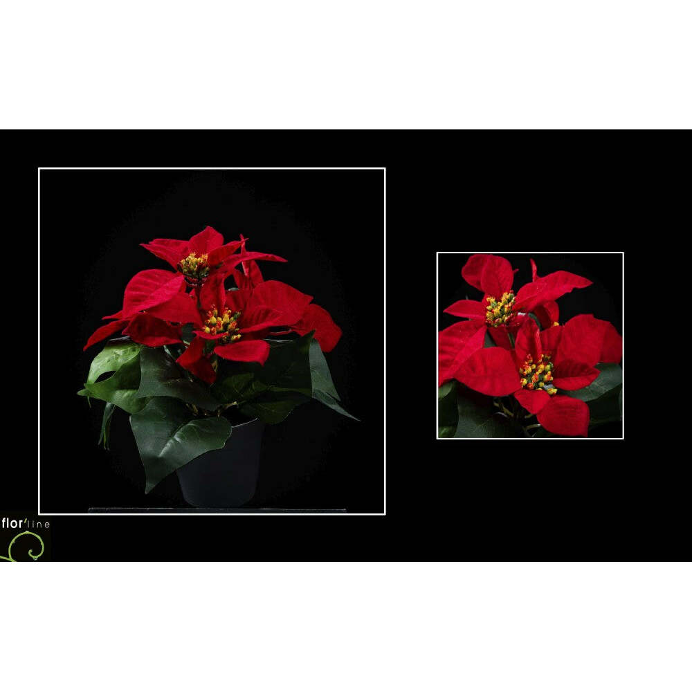 fleur artificielle poinsettia velours en pot ROUGE H.21cm - NO3