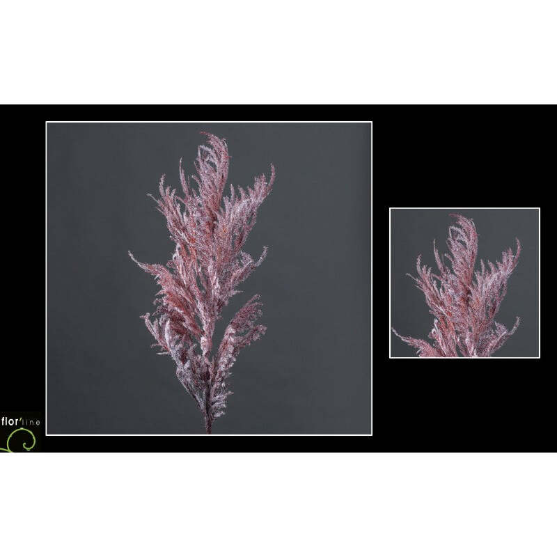 Herbe de la Pampa Gynerium artificielle - Collection Pastel prune hauteur 110 cm - NO2