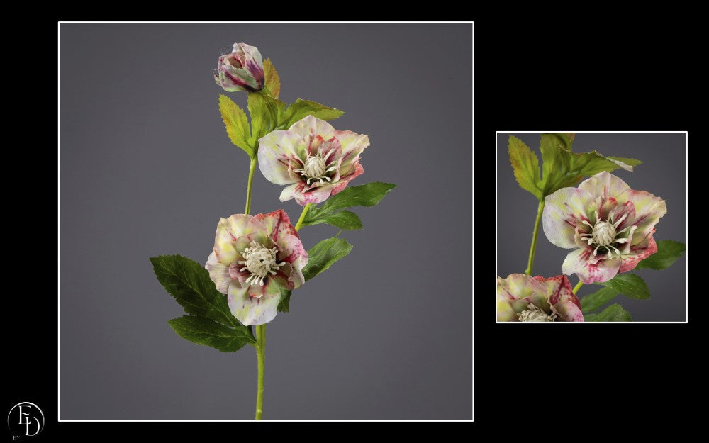 Hellébore artificielle crème et rouge - H.57 cm – Une floraison pleine de caractère