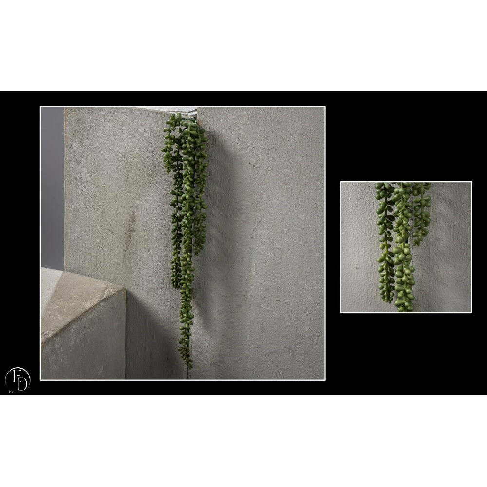 Chute de senecio- décoration d'intérieur - H. 69 cm vert R4