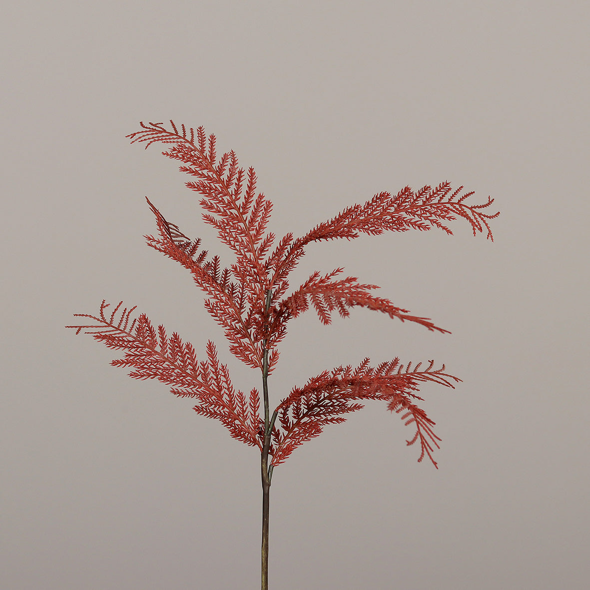 Branche de fougère artificielle rouge - H.68 cm – 6 feuilles retombantes - MAG