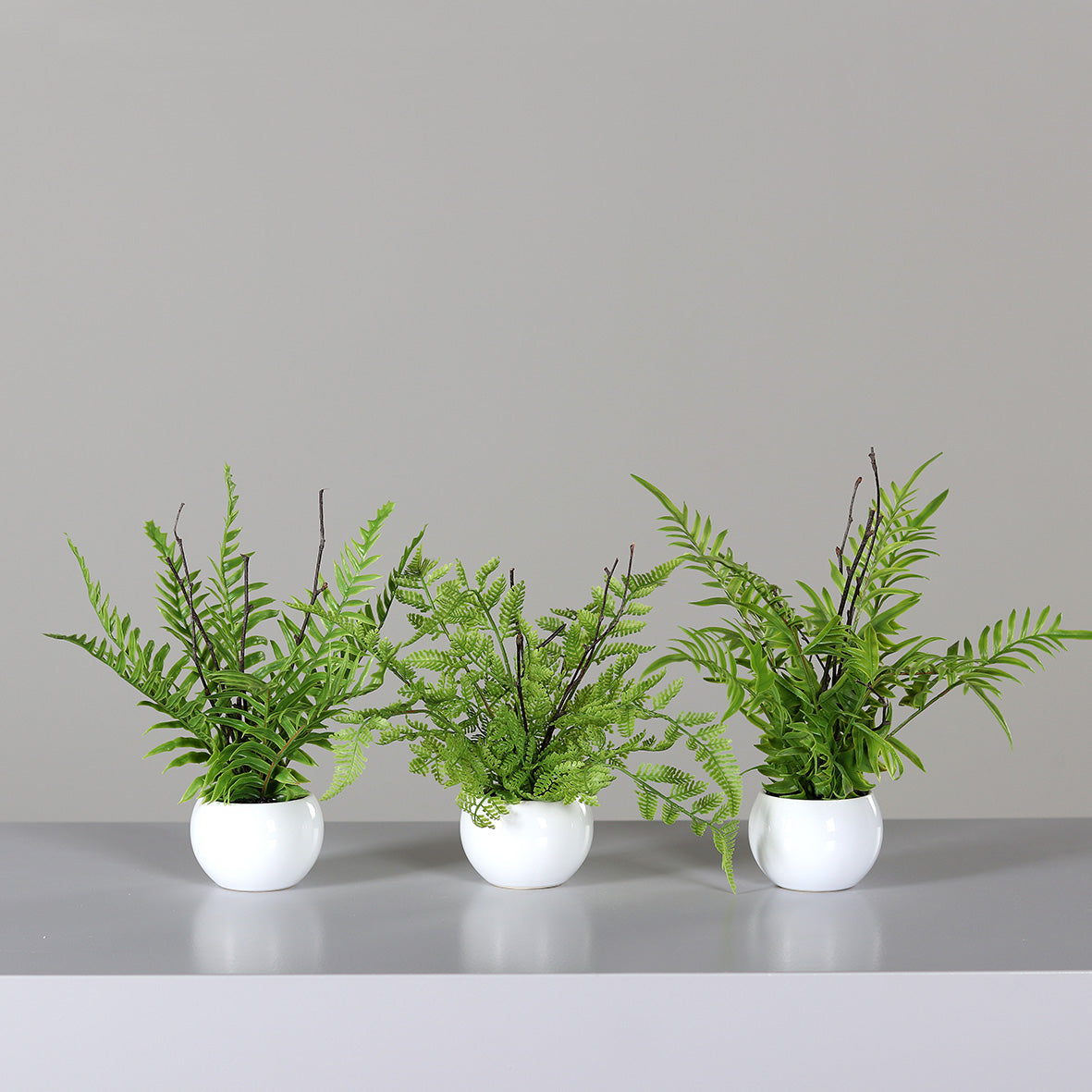 Assortiment de 3 fougères artificielles en vase céramique blanc – H.28 cm - P2