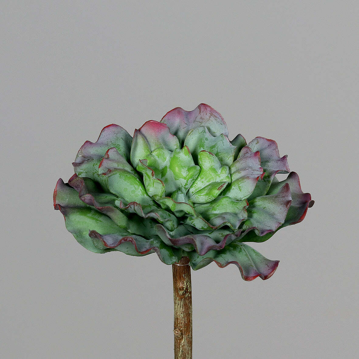 Plante artificielle Succulente - Plante grasse d'intérieur - H.16cm - Q2