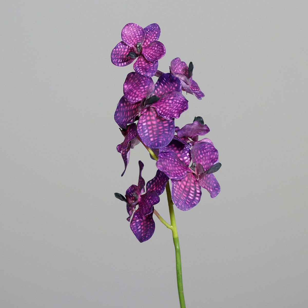 Fleur coupée Orchidée Vanda Cymbidium - création bouquet artificiel - H.60cm - Mauve R3