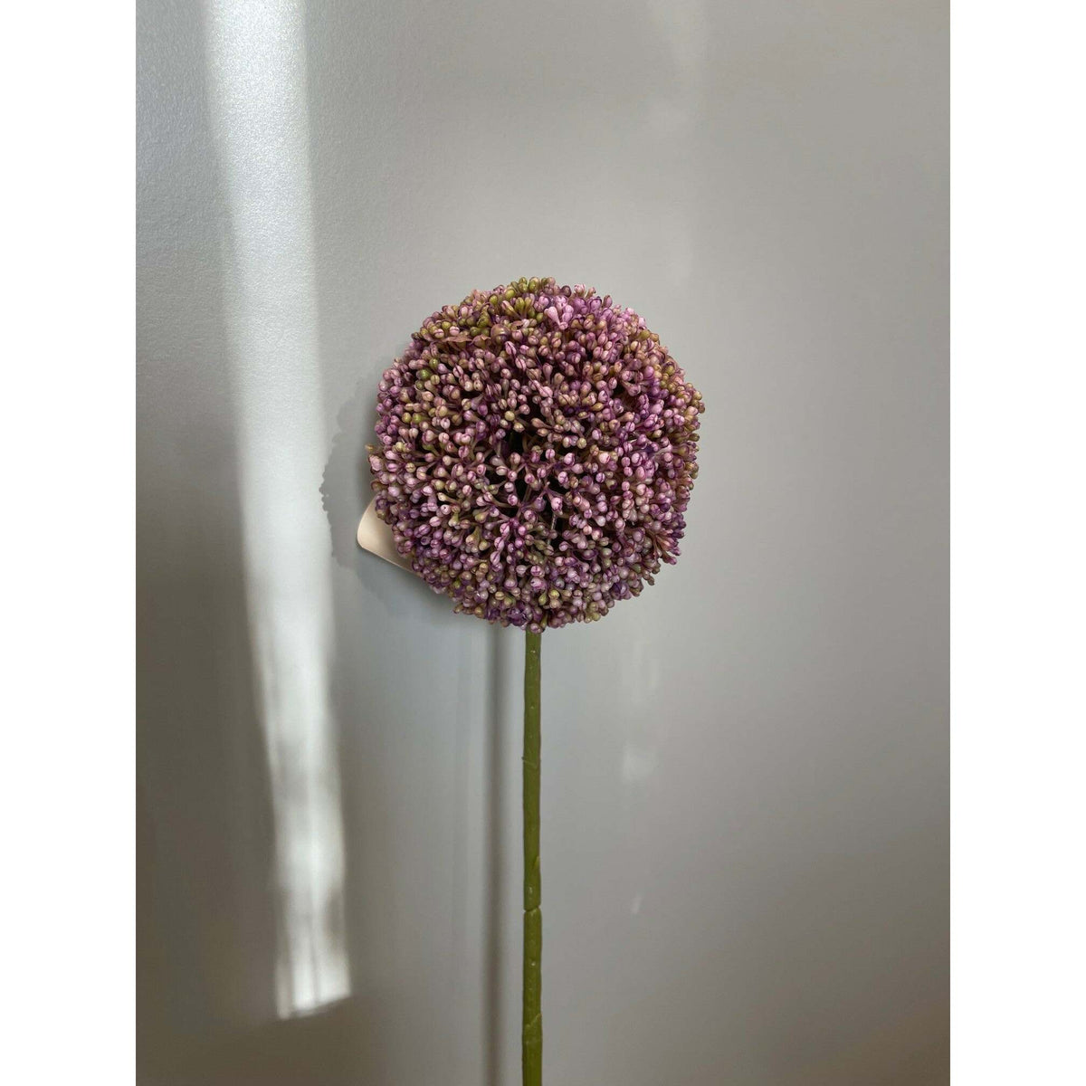 Fleur artificielle tige d'allium - décoration d'intérieur - H.72 cm - mauve - P3