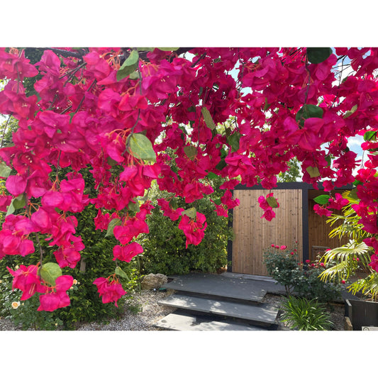 Arbre Bougainvillier artificiel « Lilas des Indes » parasol – 300 cm – Fuchsia / Pourpre