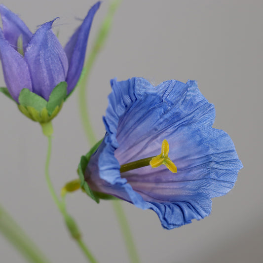 Fleur artificielle de Campanule bleue - Composition bouquet - H.60cm - 3 fleurs ouvertes et 3 fermées - MAG