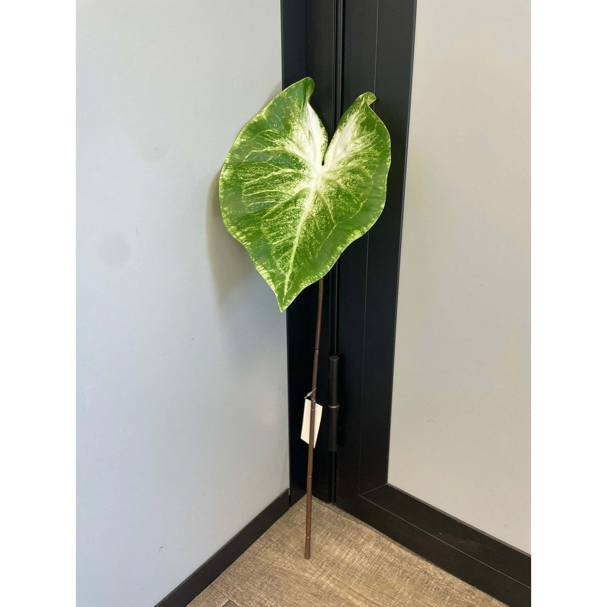 Feuille artificielle de Caladium Polyfoam - décoration d'intérieur - H.60cm - Vert panaché - Q4