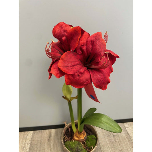 Amaryllis artificielle en pot - décoration intérieure - H.69cm - rouge