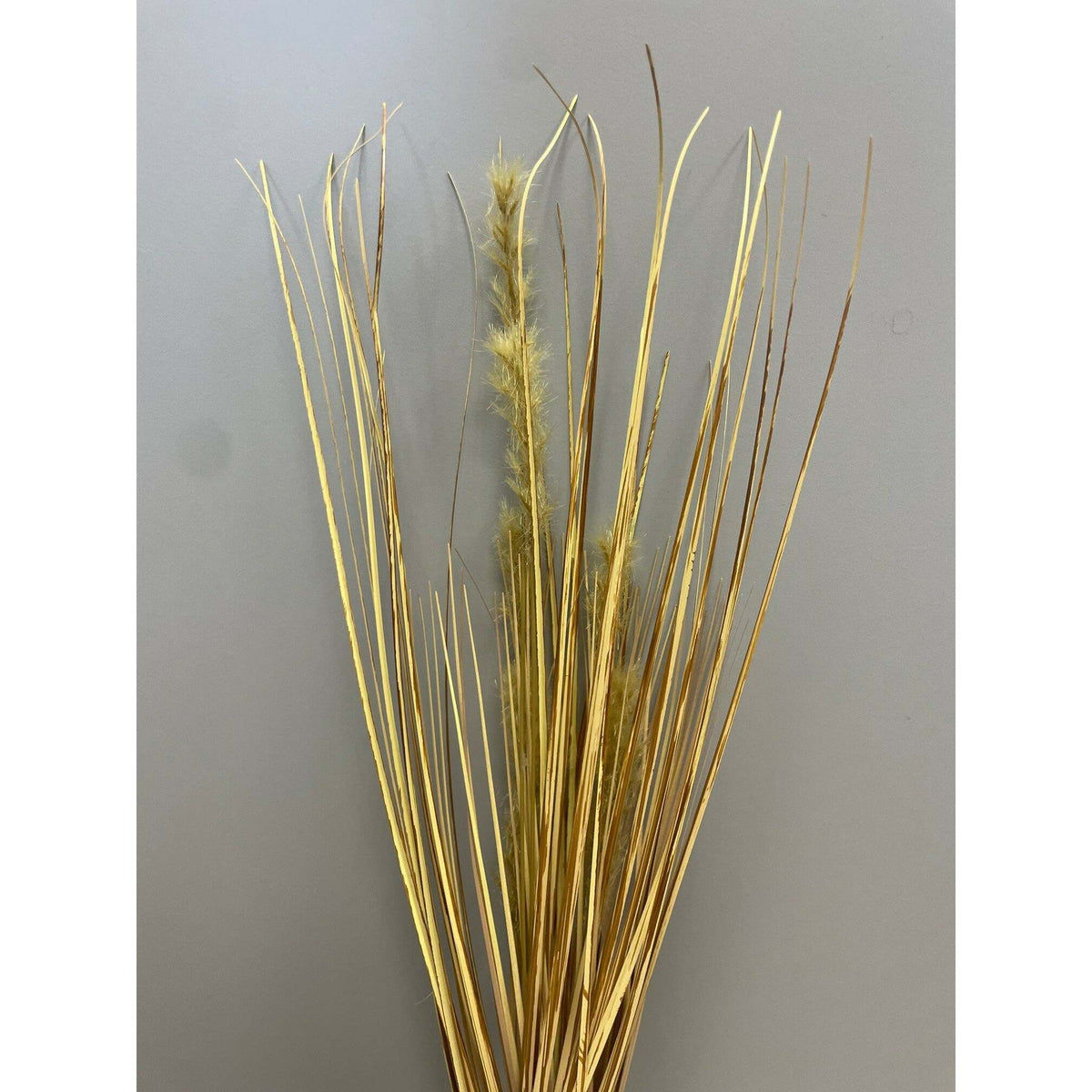 Plante artificielle Herbe sèche en piquet - intérieur - H.64cm marron jaune - P2