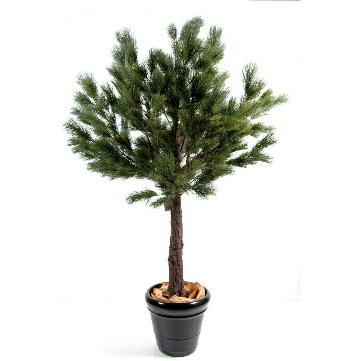 Arbre artificiel forestier Pin Autriche - arbre méditerranéen pour intérieur - H.170cm - P