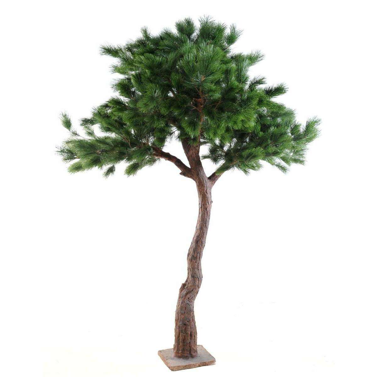 Arbre artificiel forestier Pin tête - arbre méditerranéen pour intérieur - H.280cm - P