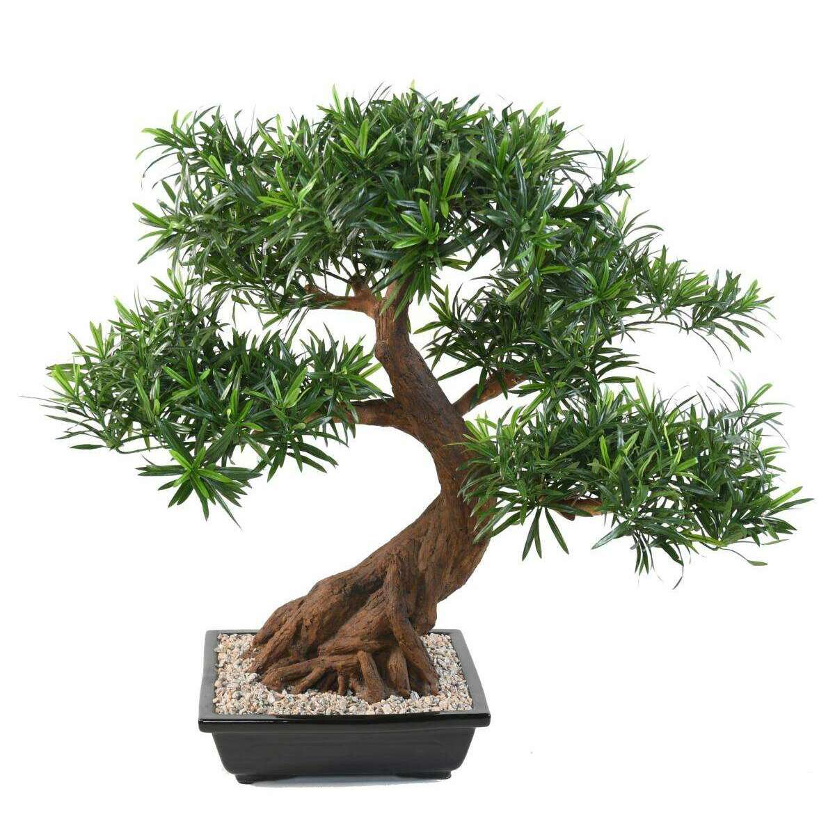 Bonsaï Podocarpus artificiel en coupe - plante synthétique intérieur - H.78cm