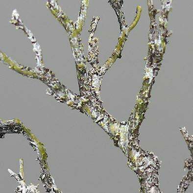 Branche artificielle bois avec mousse et lichen - décoration d'intérieur - H.30cm Q3