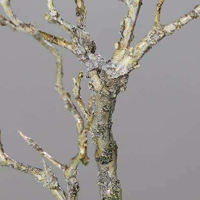 Branche artificielle bois avec mousse et lichen - décoration d'intérieur - H.40cm Q3