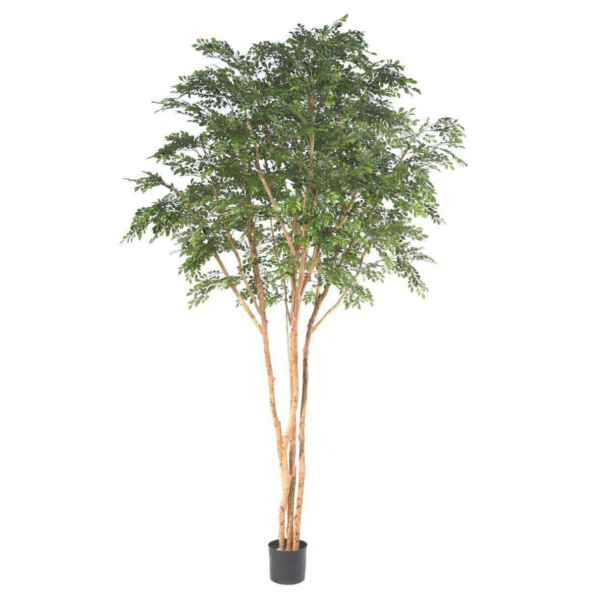 Bucida Tree Luxe Arbre artificiel - décoration d'intérieur - H.330cm