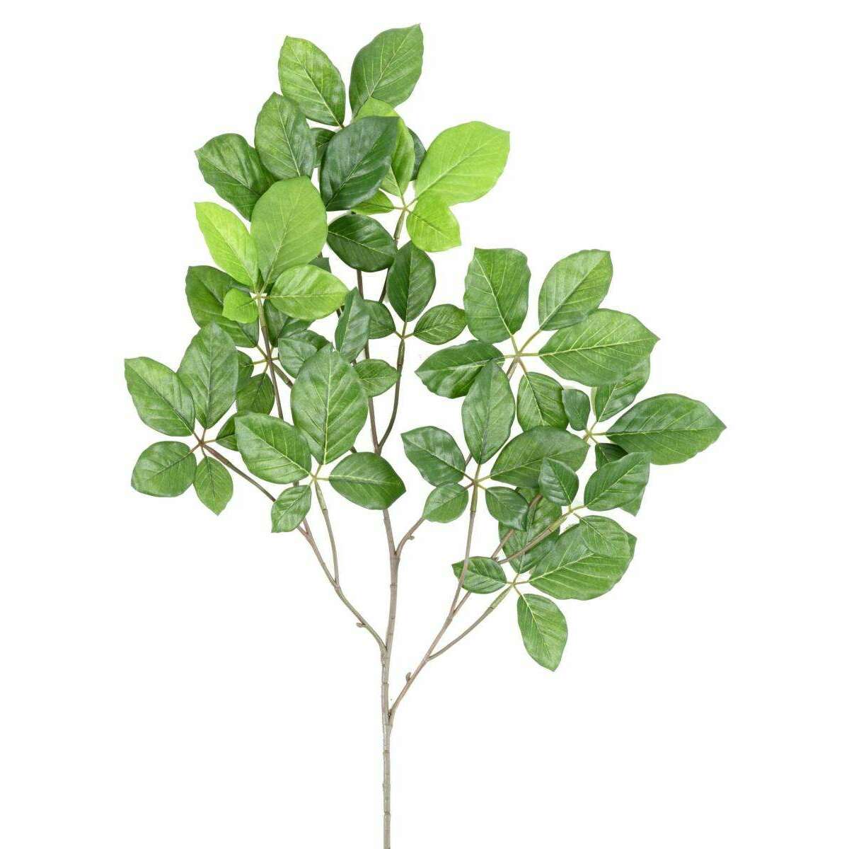 Feuillage artificiel Branche Hêtre Grandifolia - composition florale - H.65cm vert - H3