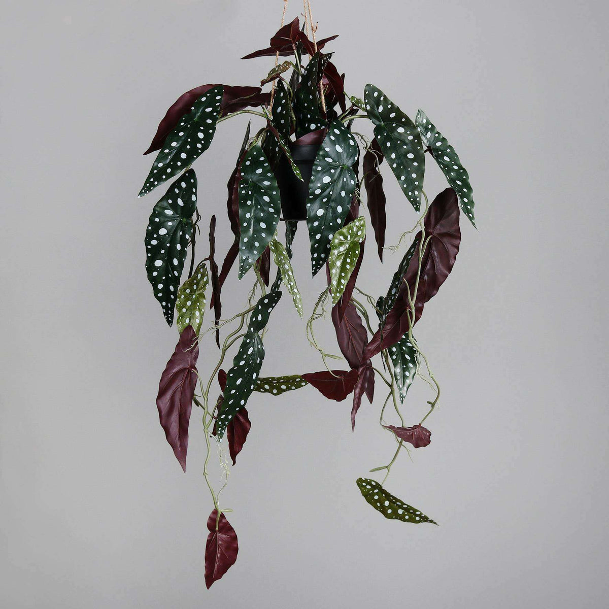 Feuillage artificiel chute de Bégonia Muculata en pot - plante retombante d'intérieur - H.90cm - P2-