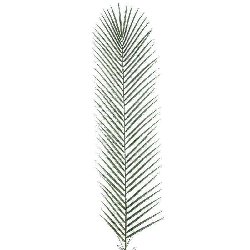Feuille artificielle de Palmier Phoenix Palme plastique - extérieur - H.135 cm L5