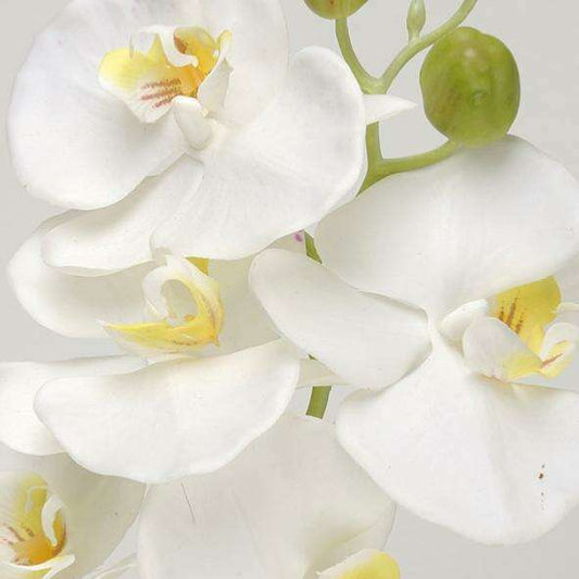 Fleur à la tige Orchidée artificielle Phalaenopsis - haute qualité - H.100cm - S1