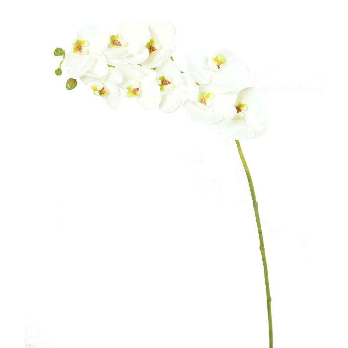 Fleur à la tige Orchidée artificielle Phalaenopsis - haute qualité - H.77 cm - K3