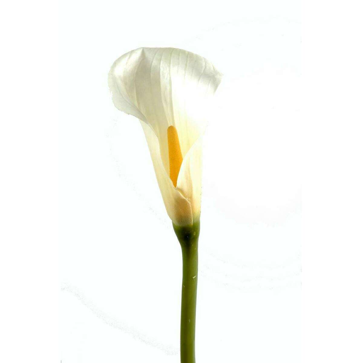 Fleur artificielle Calla Lily - création de bouquet - H.90cm blanc D4