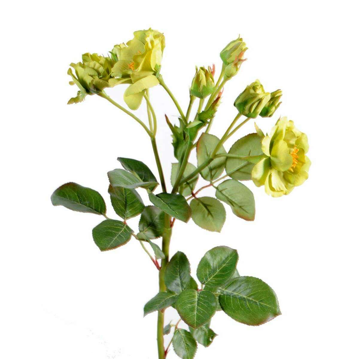 Fleur artificielle coupée rose sauvage - composition florale - H.52cm vert L3