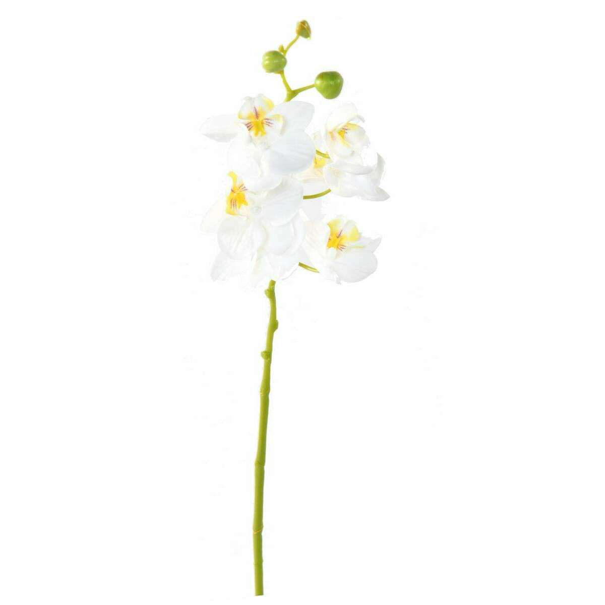 Fleur artificielle Orchidée Phalaenopsis 6 fleurs - Fresh Touch - H.60 cm blanc K3