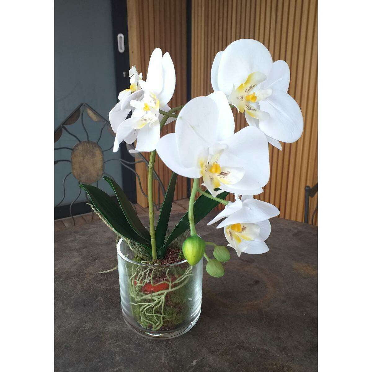 Fleur artificielle Orchidée Phalaenopsis dans un pot en verre - plante d'intérieur - H.42cm crème