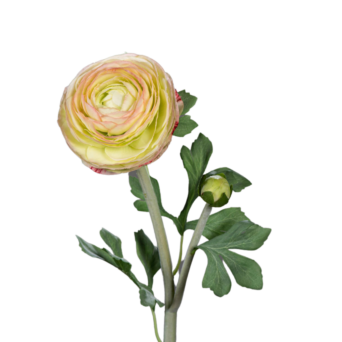 Fleur artificielle tige de Renoncule - création de bouquet - H.57cm vert jaune R1