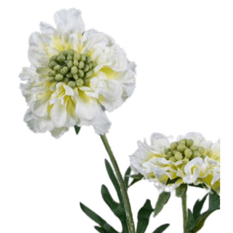 Fleur artificielle tige de Scabiosa - composition florale - H.55cm crème R2