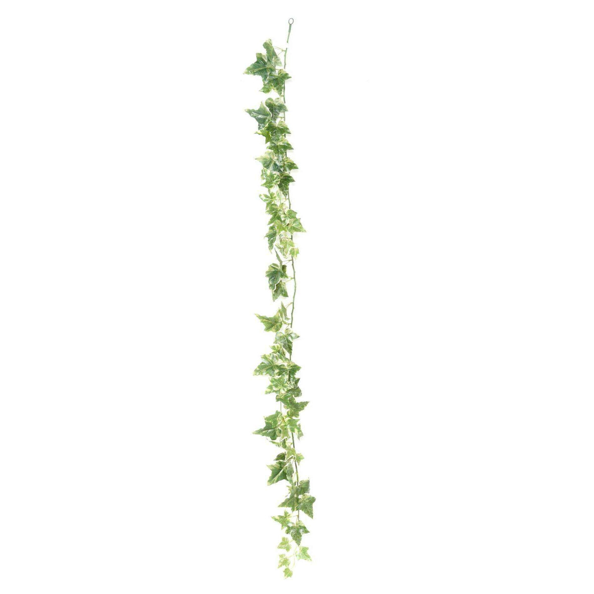 Guirlande artificielle Lierre Hollandais 68 feuilles - intérieur - H.180cm panaché - J2