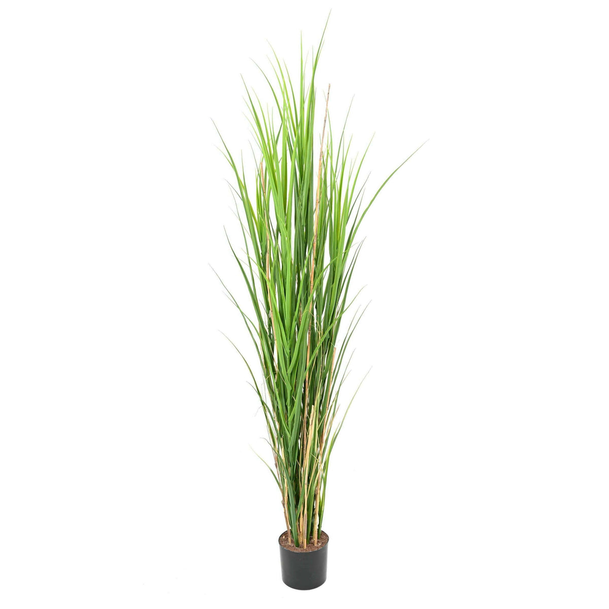 Herbe artificielle large UV résistant - intérieur extérieur - H.165cm