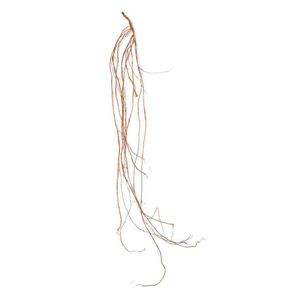 Liane artificielle - décoration d'intérieur - H.180cm marron J1