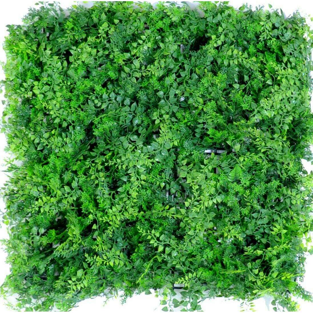 Mur végétal artificiel fougère - décoration murale - 50x50cm vert - C1