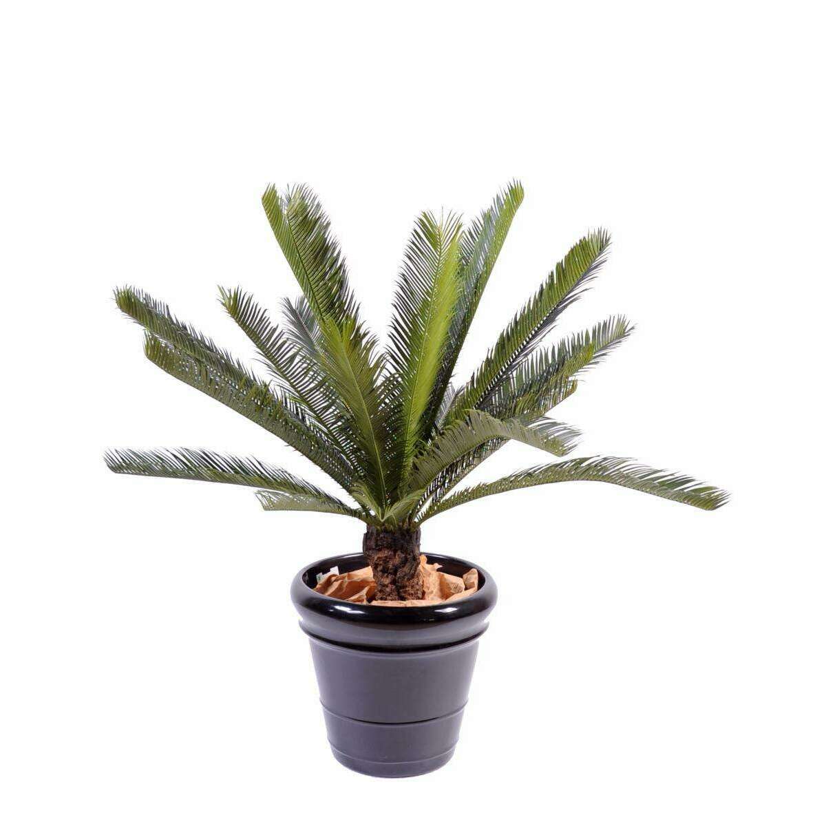 Palmier artificiel Cycas tronc - plante intérieur extérieur - H.100cm vert