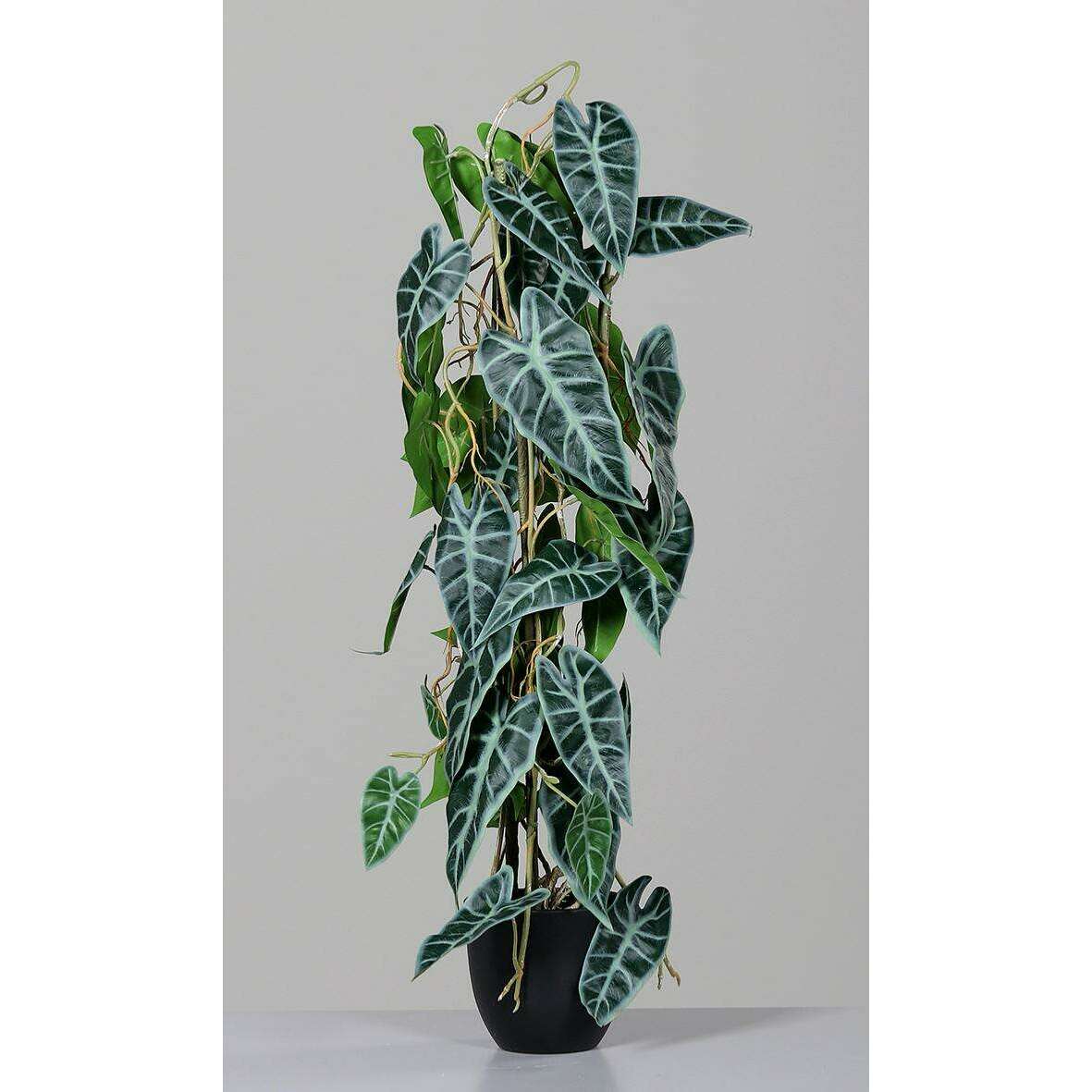 Plante artificielle Alocasia en pot - plante verte d'intérieur - H.80cm - P3