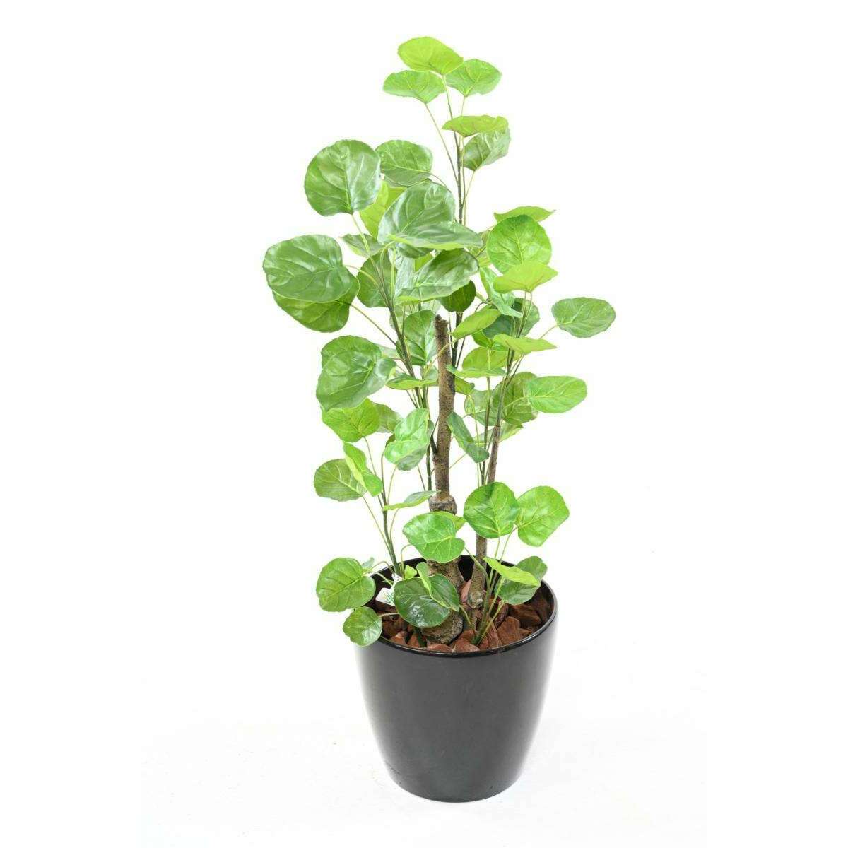 Plante artificielle Aralia Fabian - plante synthétique pour intérieur - H.90cm A