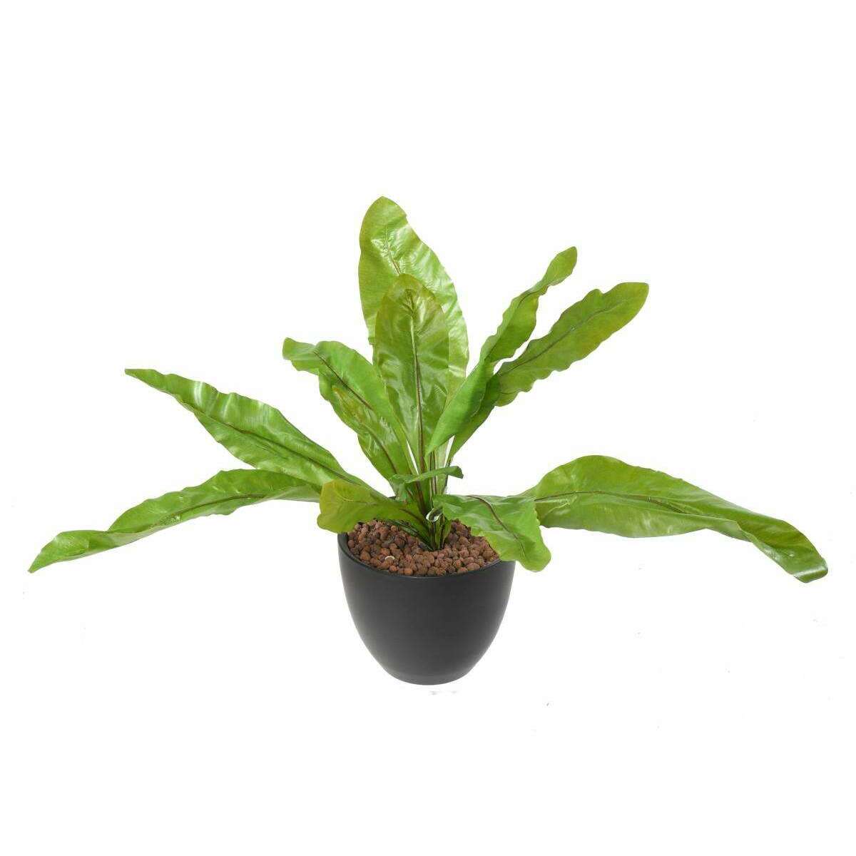 Plante artificielle Asplenium en piquet -plante d'intérieur - H.70cm vert A2