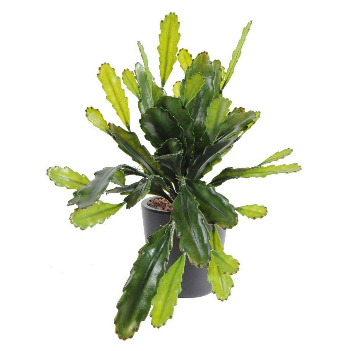 Plante artificielle Epiphyllum en piquet - cactus artificiel extérieur - H.50cm vert F3