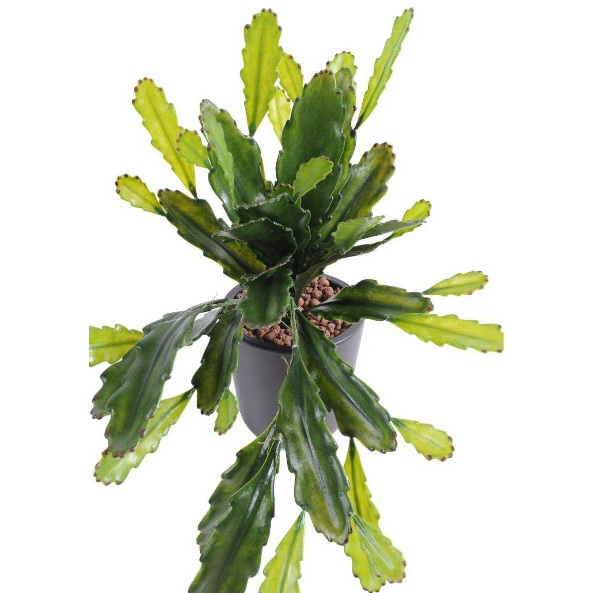 Plante artificielle Epiphyllum en piquet - cactus artificiel extérieur - H.50cm vert F3