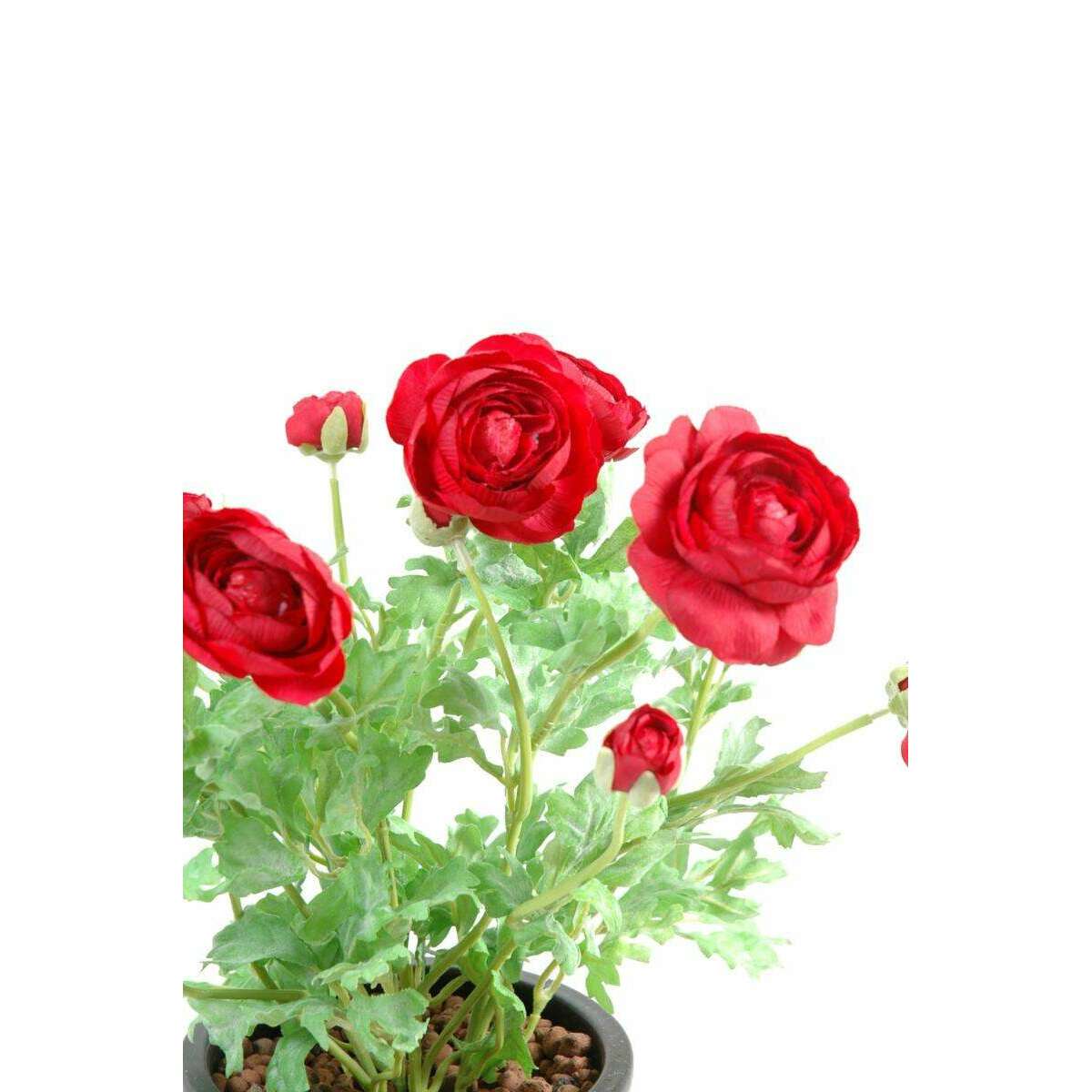 Plante artificielle fleurie - Renoncule rouge en piquet - H.38 cm rouge M2