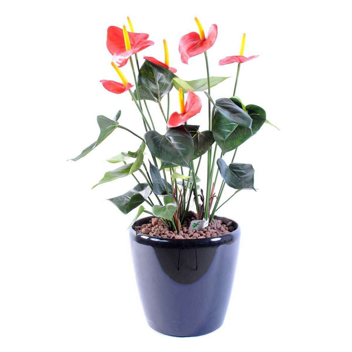 Plante artificielle fleurie Anthurium en pot - décoration d'intérieur - H.50cm rouge A1