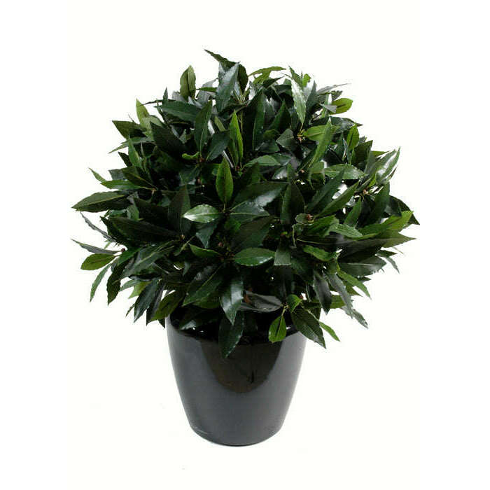 Plante artificielle Laurier boule luxe - plante synthétique - Ø.60cm