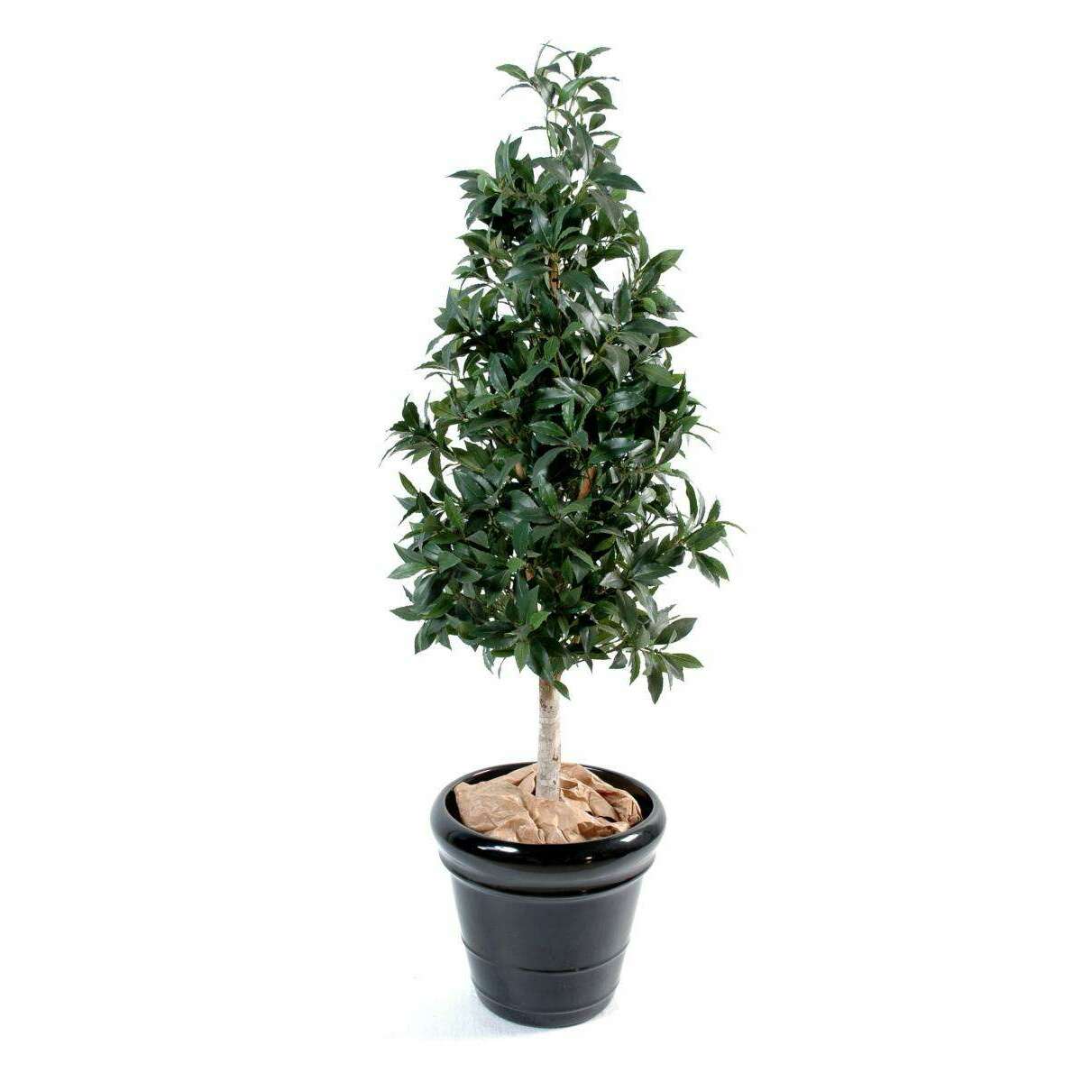 Plante artificielle Laurier pyramide - topiaire artificiel - H.150cm vert