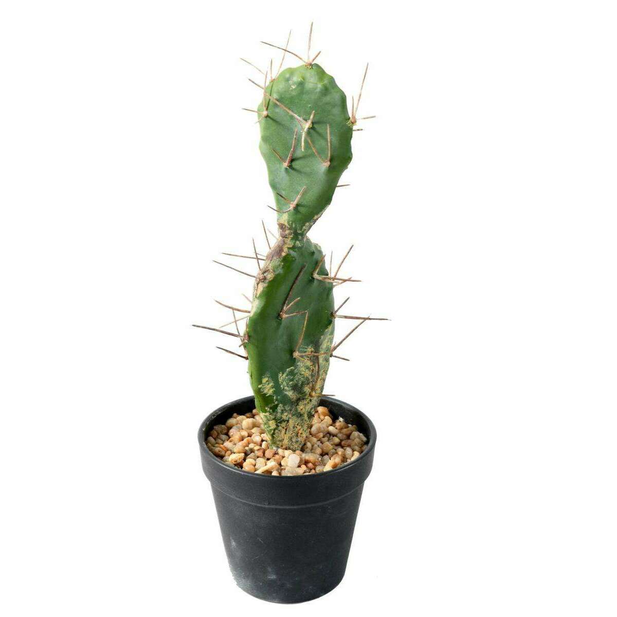 Plante artificielle petit Cactus plat- Plante pour intérieur - H. 34cm vert E2