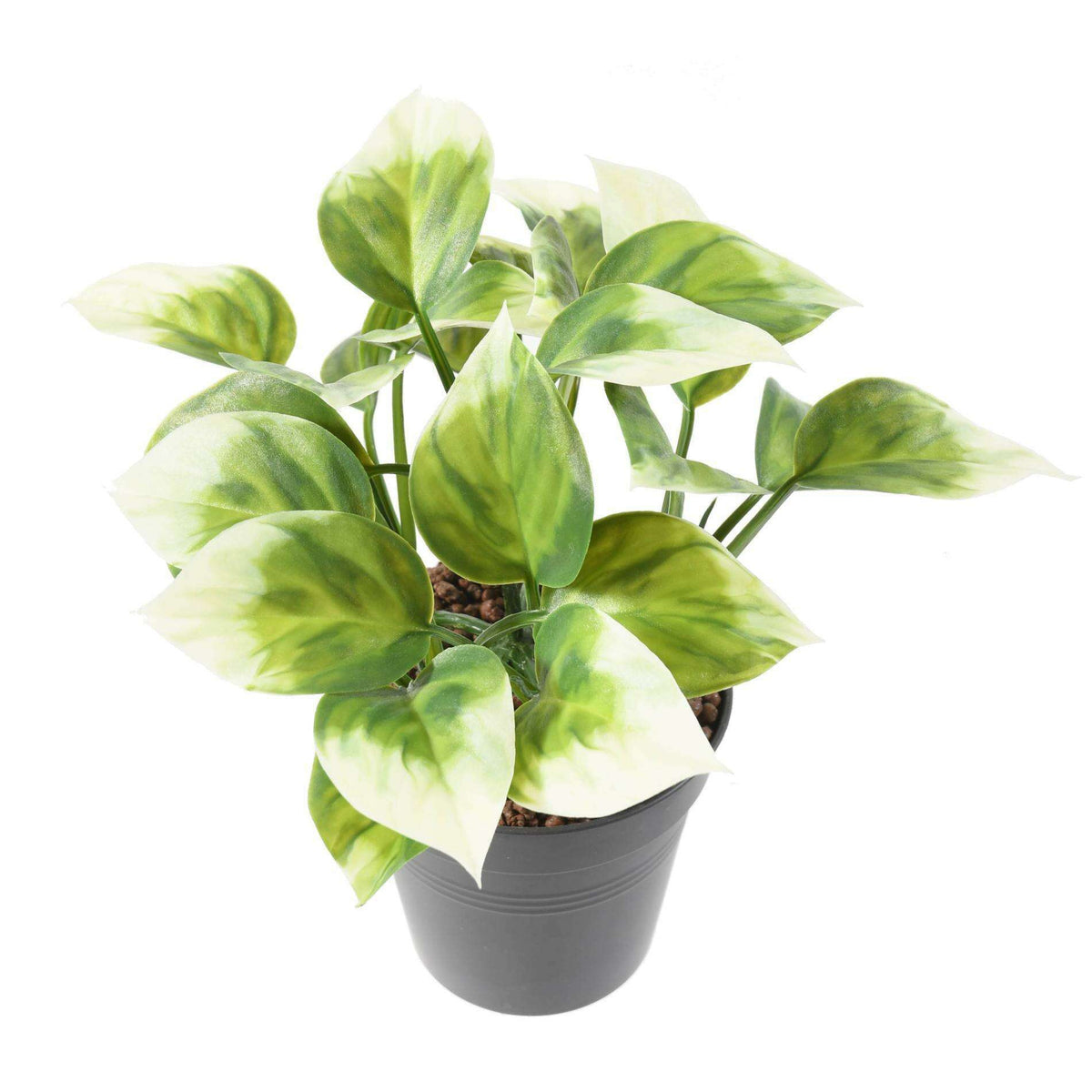 Plante artificielle Philo Bush en piquet - intérieur extérieur - H.25cm vert blanc - K4