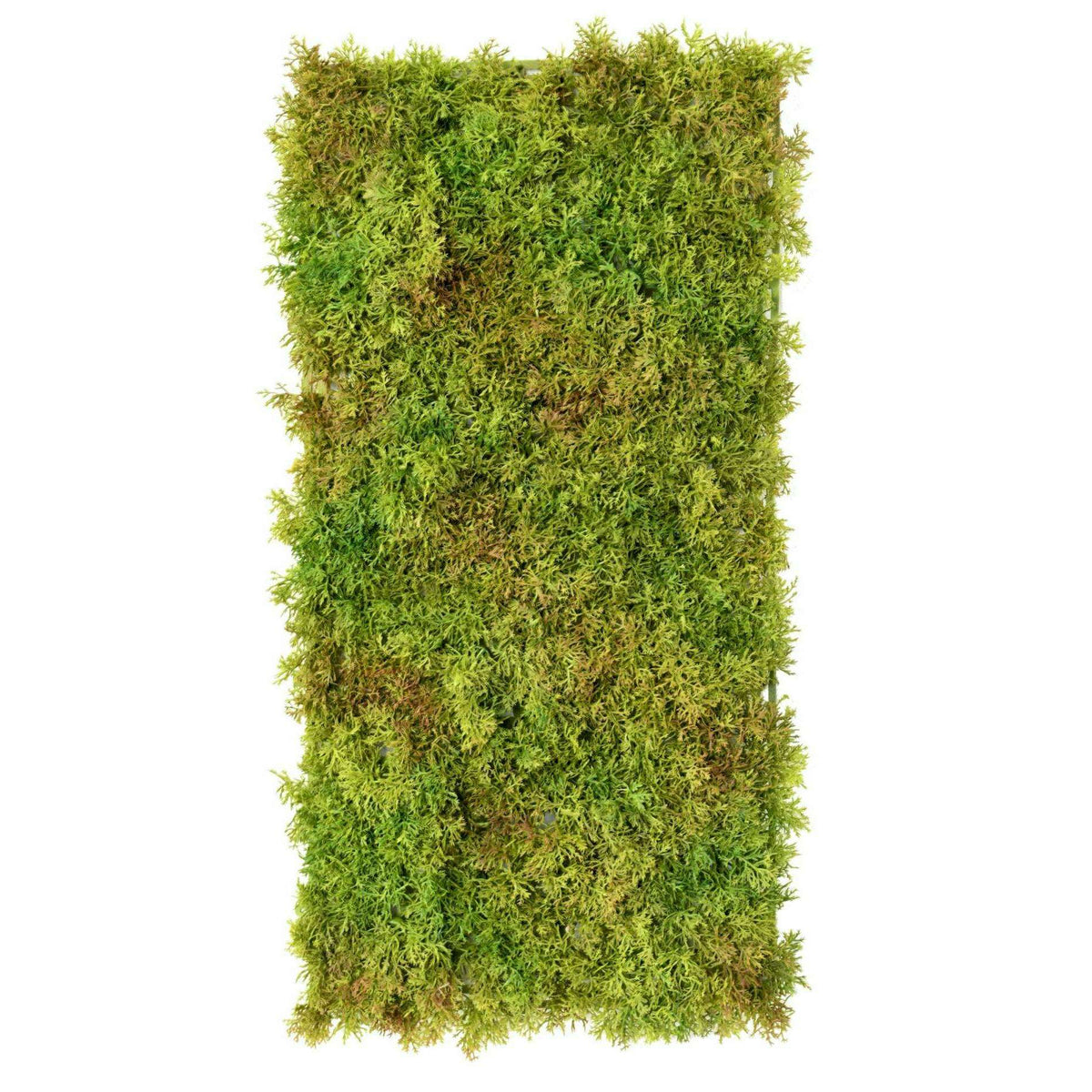 Plaque Mousse artificielle anti-UV - mur végétal intérieur extérieur - L.50x25cm vert ETG MEZZA