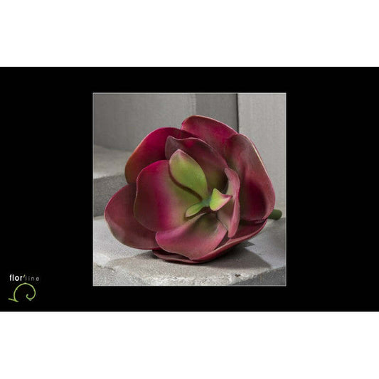 Fleur de kalanchoe artificielle  - décoration d'intérieur - H.26 cm bordeau - R4