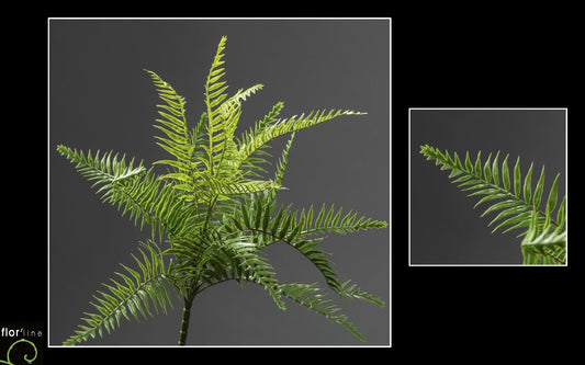 Piquet de fougère artificielle Nephrolepis verte - H.40 cm – Volume naturel et esprit jungle - P4